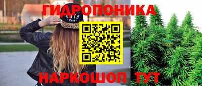 экстази Кингисепп