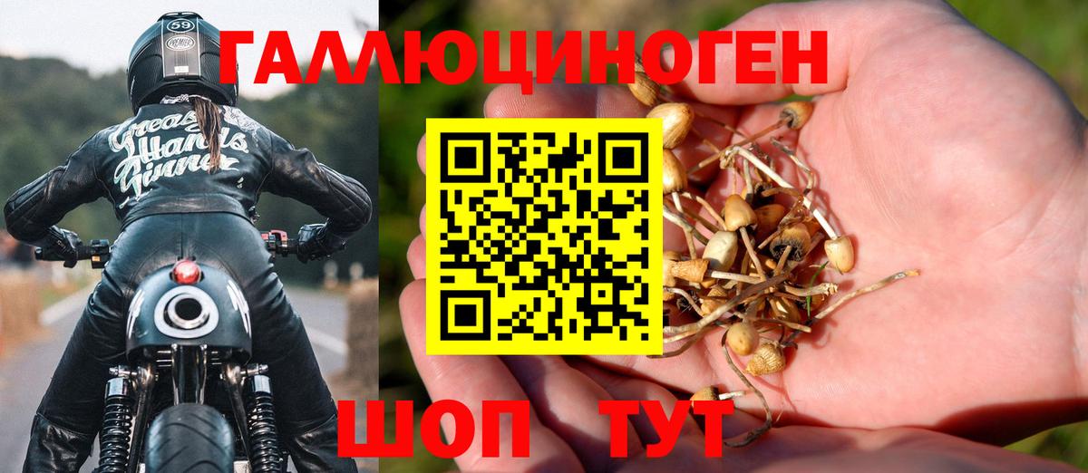 Черкесск  Галлюциногенные грибы мухоморы  Вход с VPN 